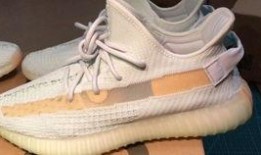 一只椰子爆料视频下载,下载过程大公开